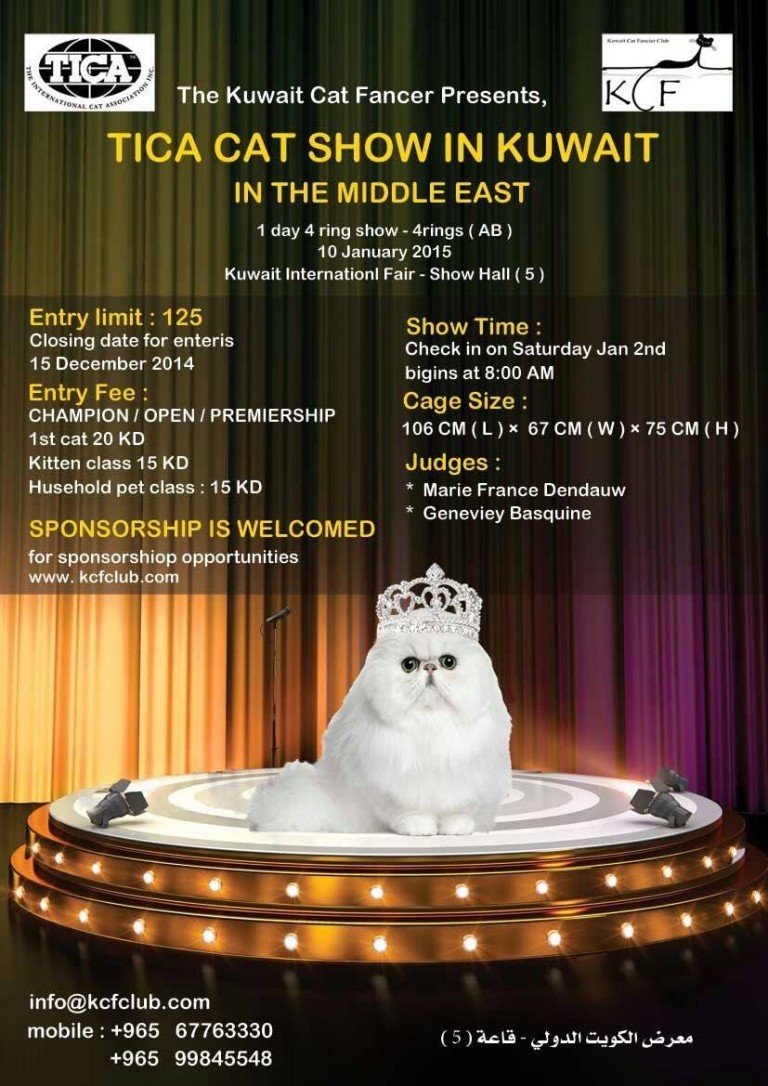 TICA Cat Show in Kuwait , Kuwait KUWAIT UPTO DATE